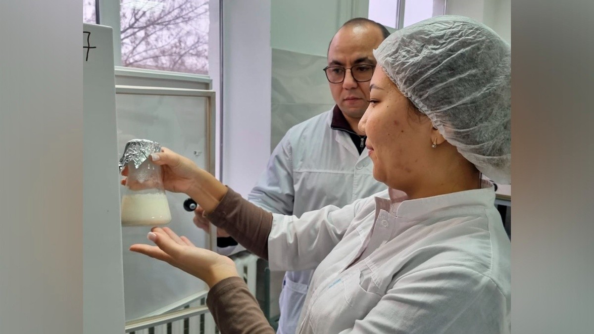 IJs en yoghurt van kamelenmelk uit West-Kazachstan