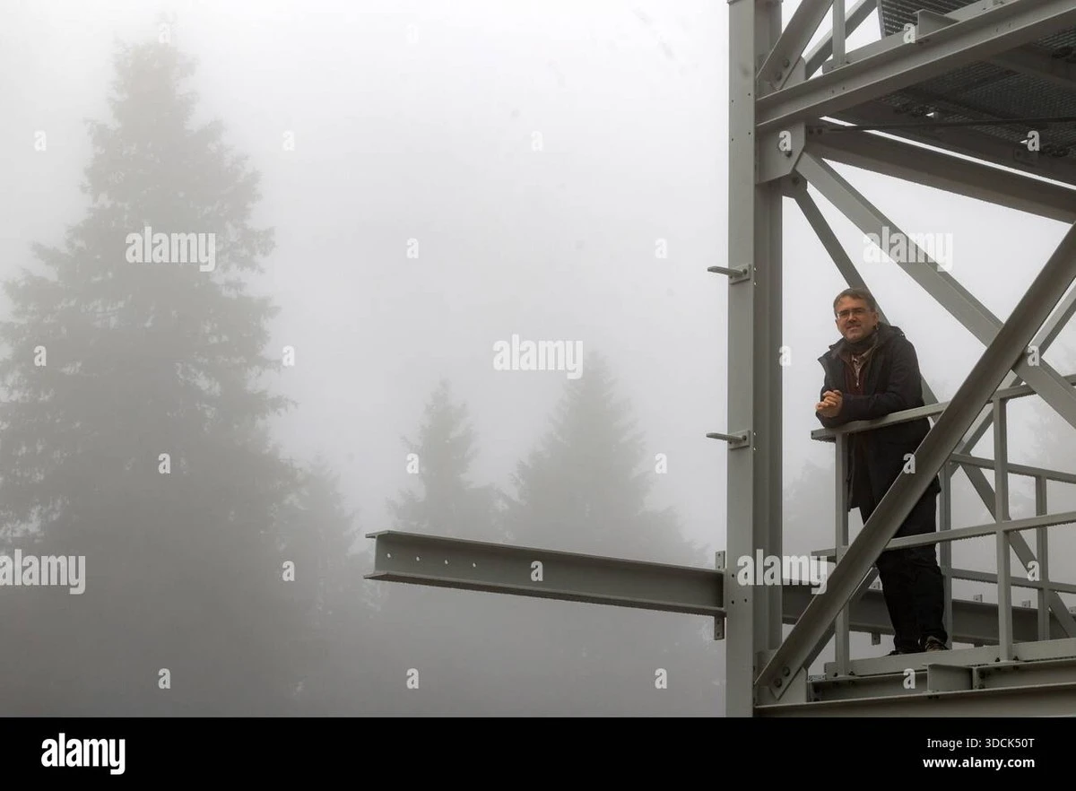 Waarom experts een spionagdun toren in het bos bouwen om het weer écht te voorspellen - image 1