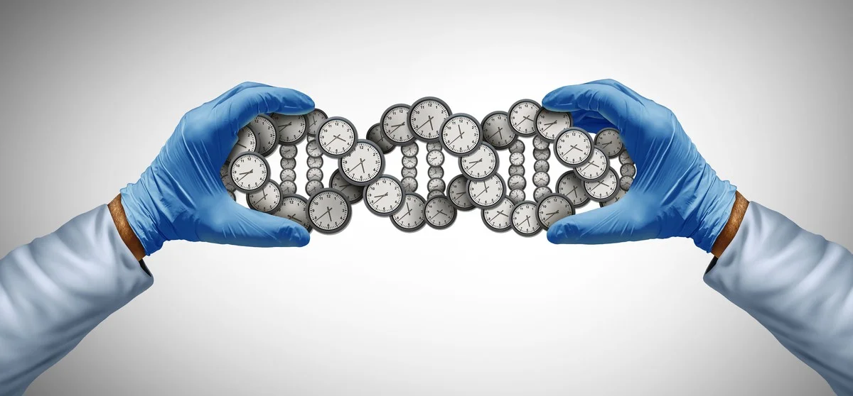stopmetditdebab-extra-1.webp Stop met dit: de