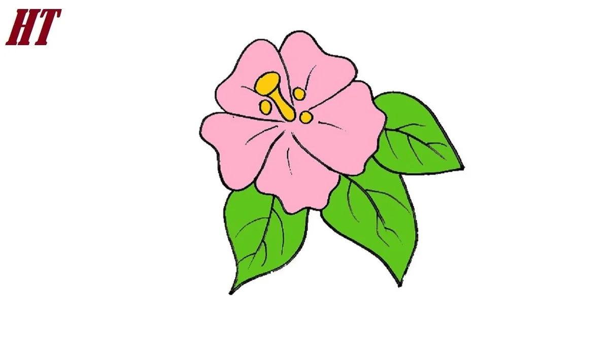 Deze plant geeft je het hele jaar door kleur zonder veel moeite - image 2