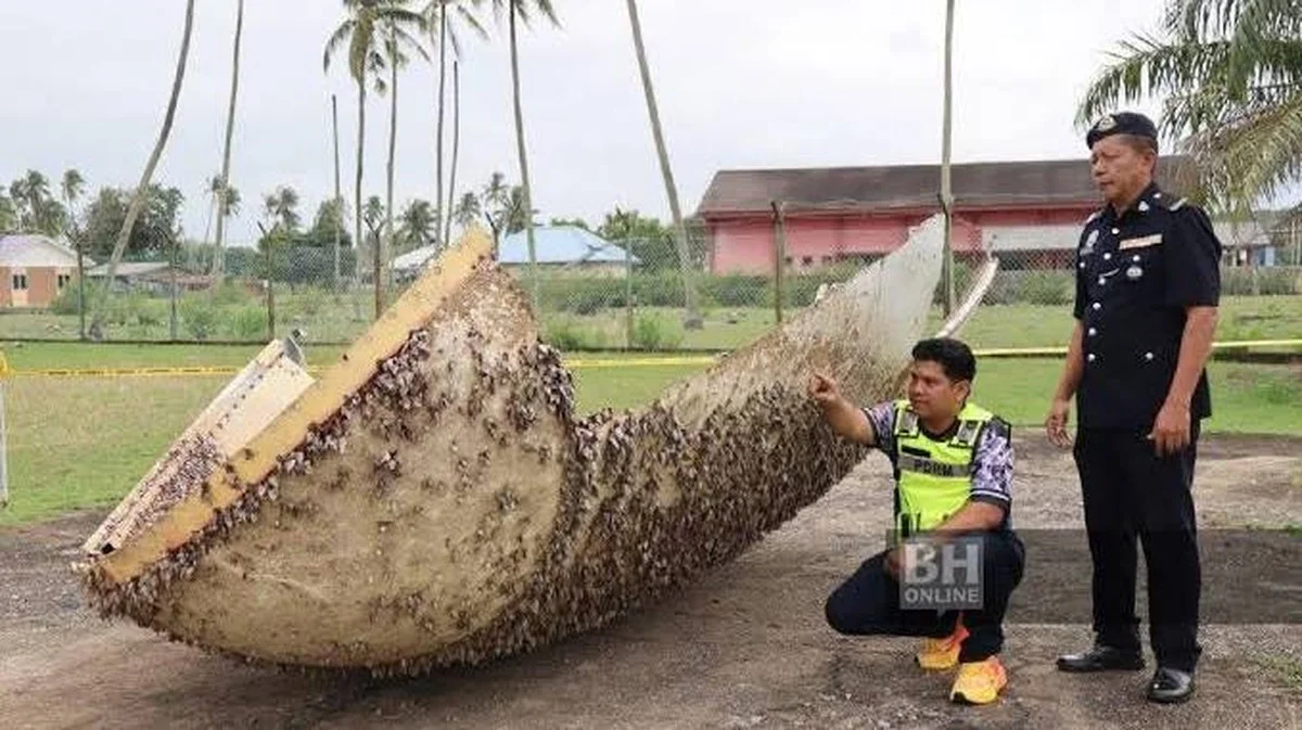 Vreemd object aangespoeld op Pekan strand: is het buitenaards?