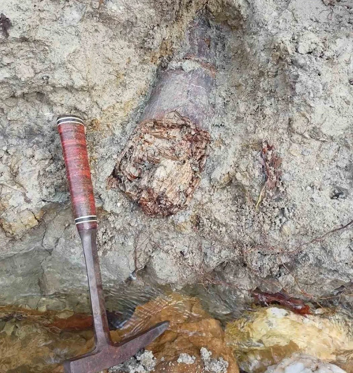 Het verborgen oeroude bewijs in Griekenland dat de tijdlijn van de mammoet verandert