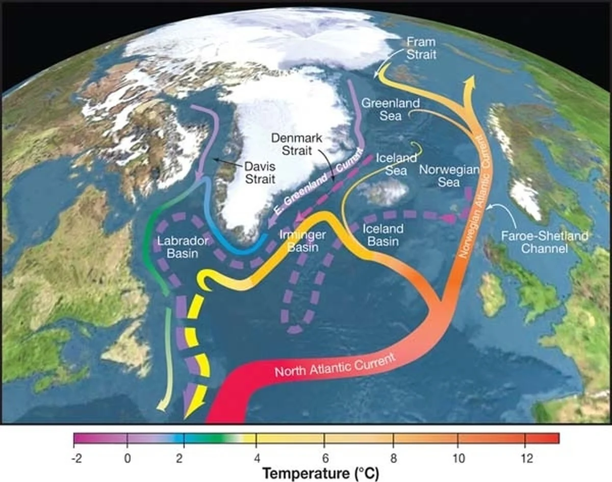 Waarom die mysterieuze koude plek bij Groenland is te verklaren door één traag oceaanmechanisme - image 2