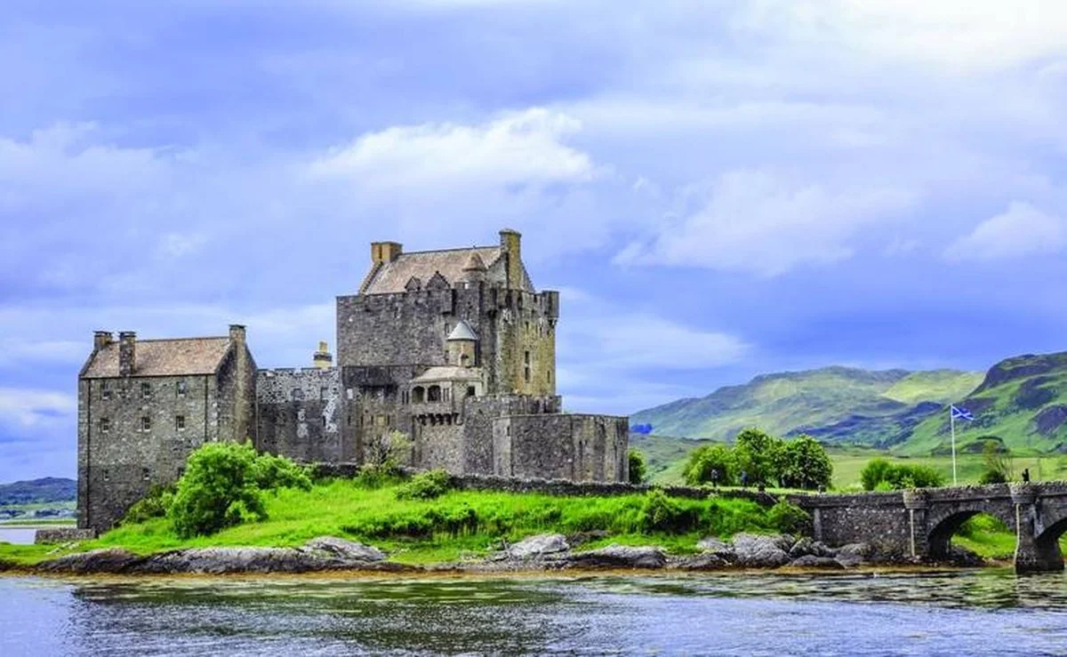 De haai die 330 miljoen jaar geleden in een Schotse buitenwijk werd gevonden - image 2