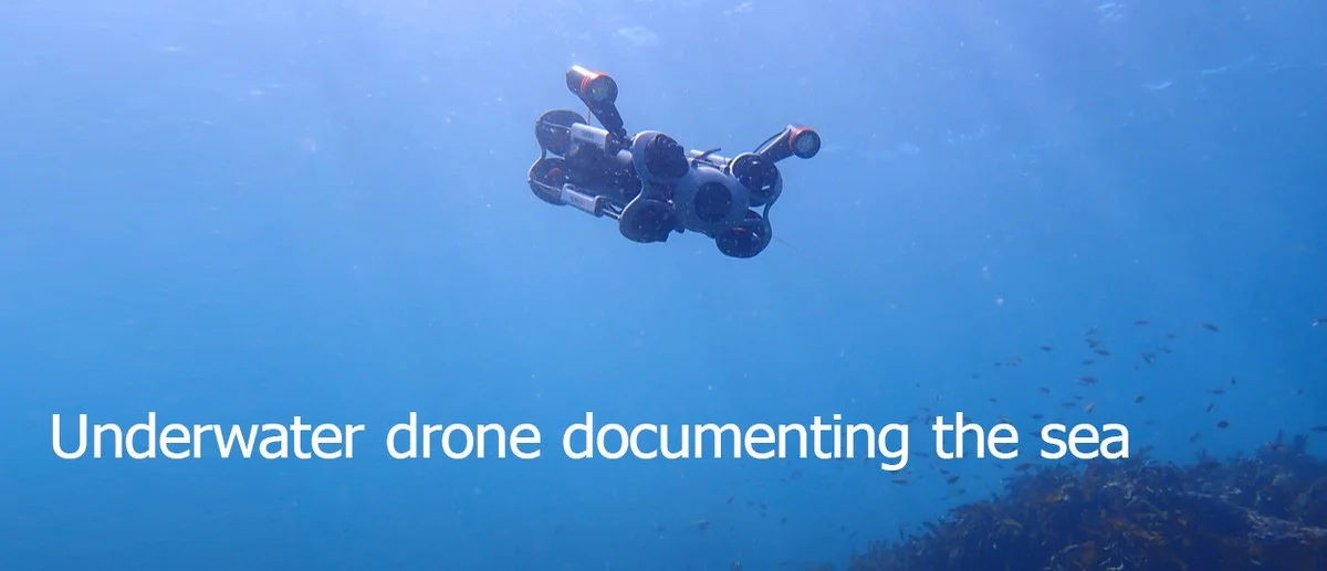 De onderwaterbeelden die laten zien dat Zuid-Australië écht terugvecht na de algenplaag - image 2