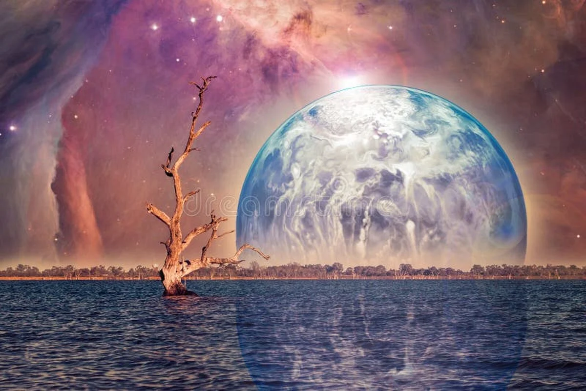 De geheime functie van deze mierzoet ogende boom op Socotra - image 2