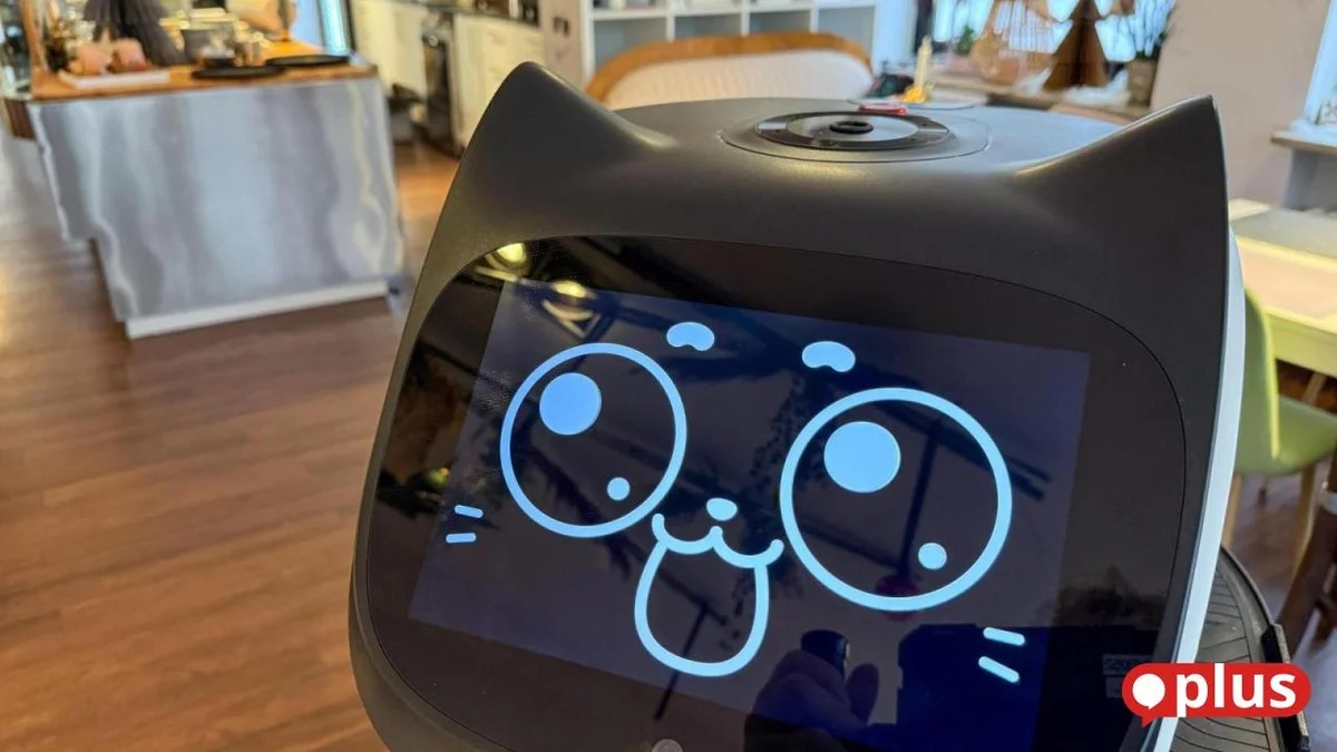 Waarom het Ambergse koffiehuis nu een robot inzet voor de beste *apfelstrudel*