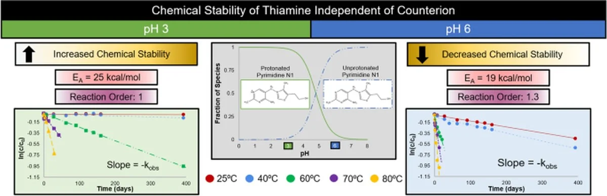 Waarom een ‘krankzinnige’ theorie over vitamine B1 uit 1958 nu eindelijk is bewezen door chemici - image 1