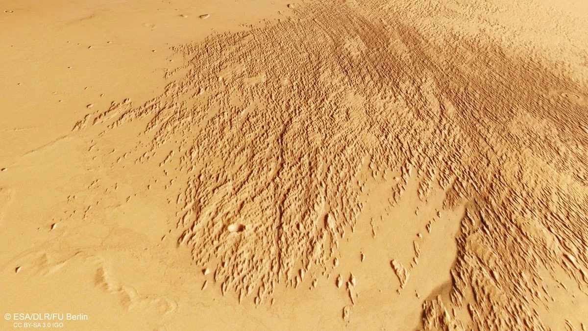 De mysterieuze krassen die een Mars-orbiter in het zand vastlegde - image 2