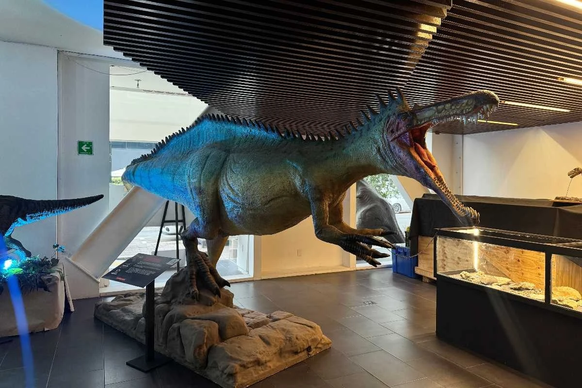 De geheime dinosaurusroute: hoe je met de trein naar deze nieuwe tentoonstelling rijdt (en waarom je nu moet gaan) - image 1