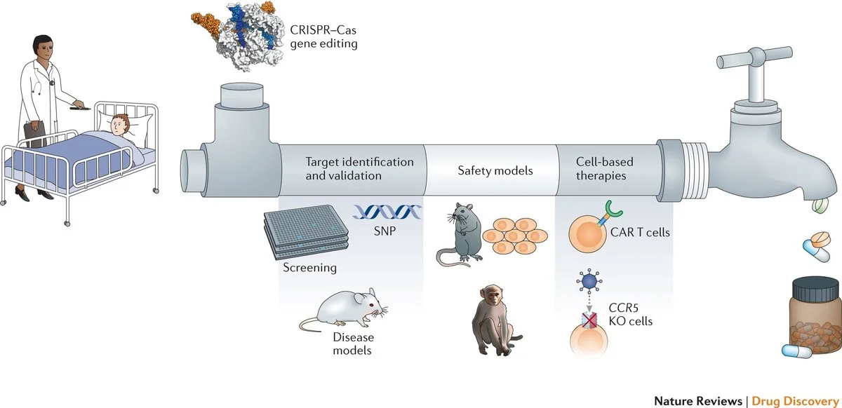 waaromdenobelpr-extra-2.webp Waarom de Nobelprijs voor CRISPR begon met vreemde herhalingen in bacteriën uit een zoutmeer - image 2