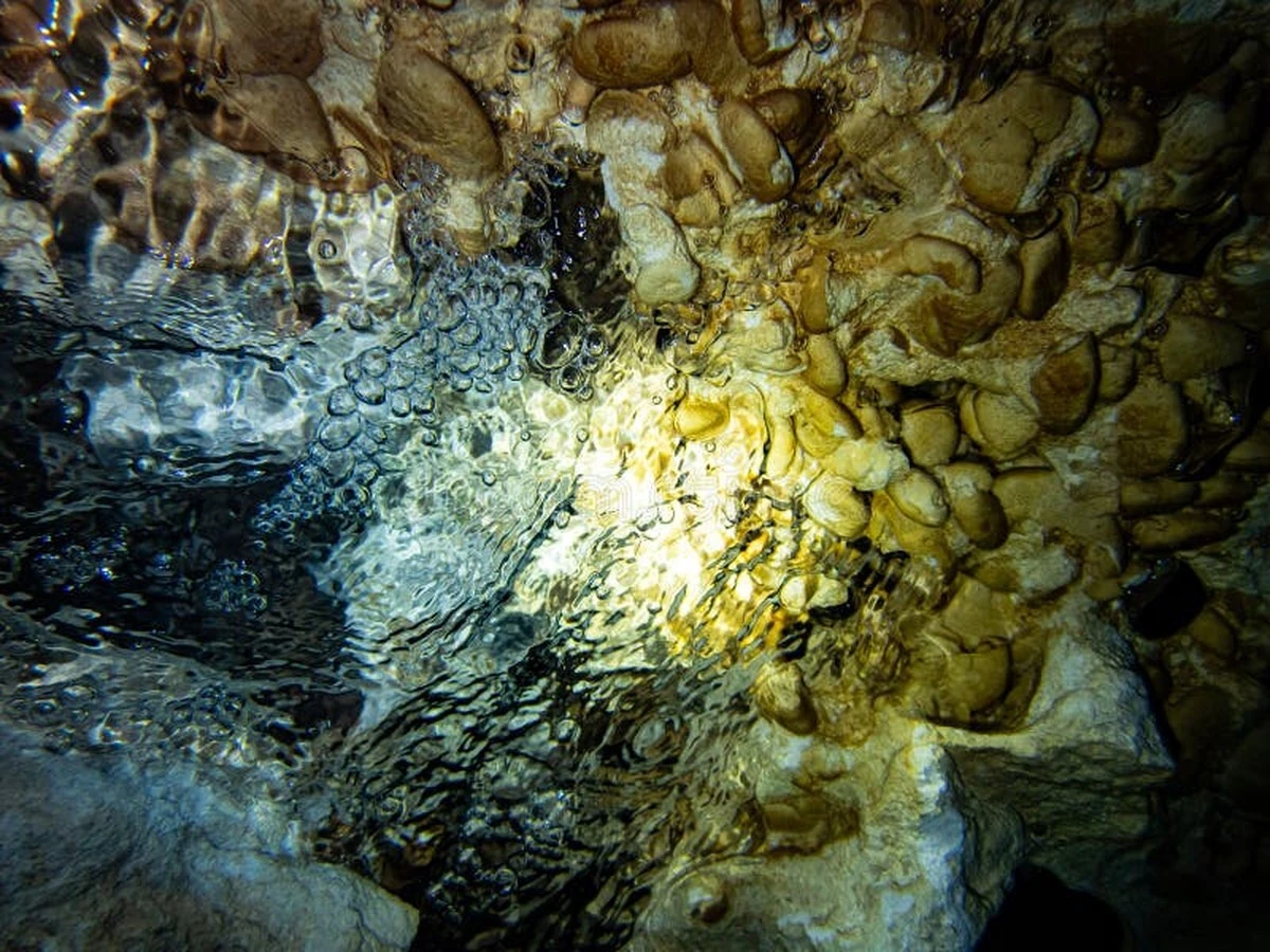 Het verborgen geheim van Mammoth Cave: hier zwommen haaien van 3 meter - image 2