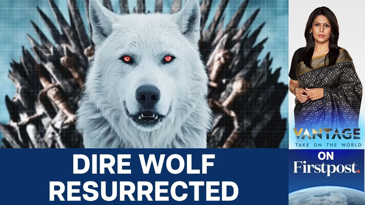 deuitgestorvend-extra-1.webp De uitgestorven