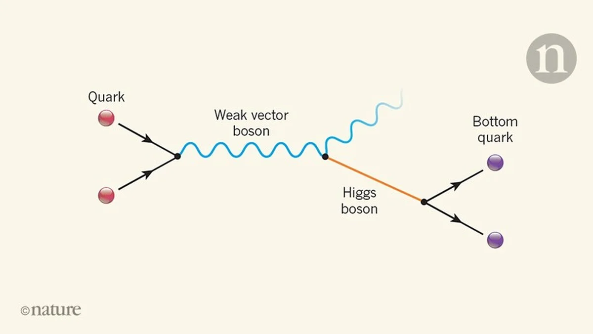 Waarom natuurkundigen nu al juichen over de Higgs-val, terwijl de 