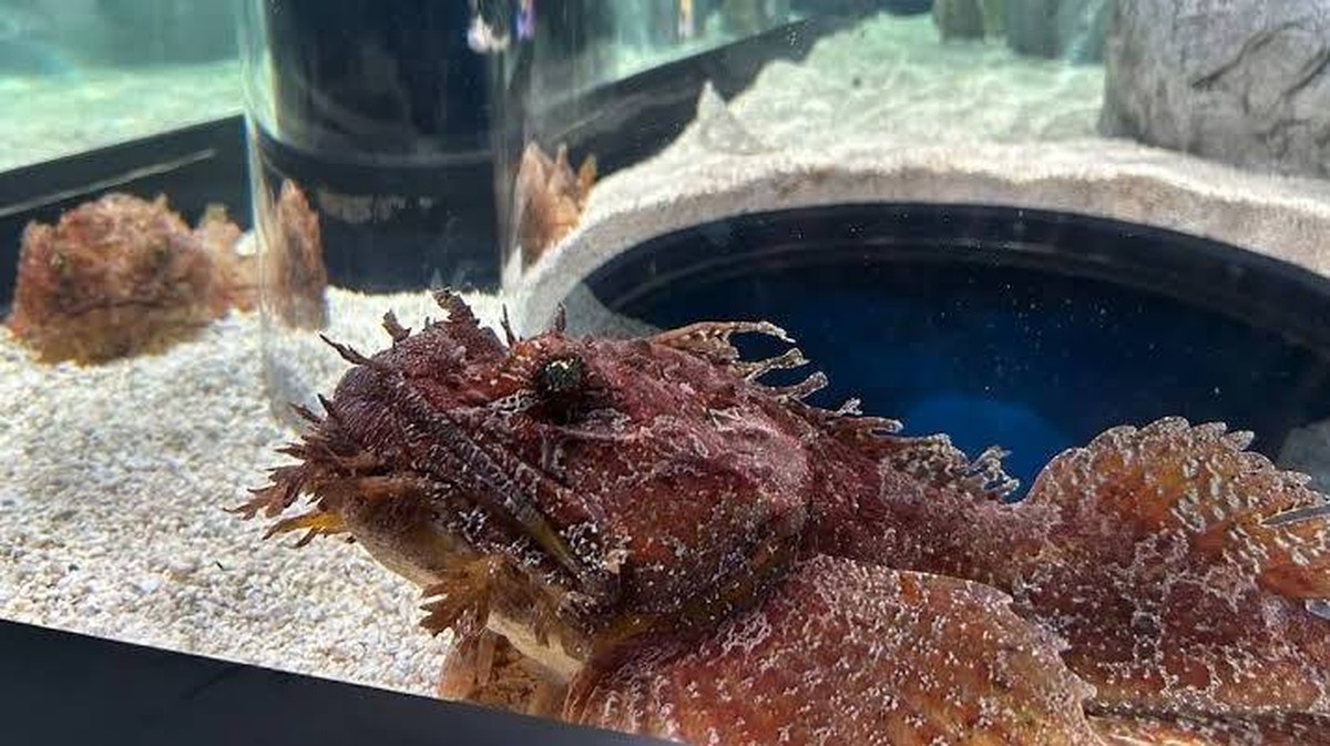 Beaty Marine Centre: Canada’s grootste mariene onderzoekscentrum