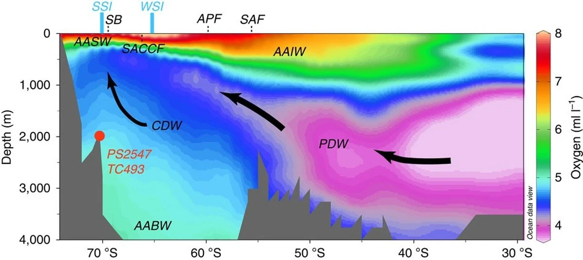 hetzuurstofnive-extra-2.webp Het zuurstofniveau in de Noord-Atlantische Oceaan daalt: wetenschappers zien een alarmerende veroudering van diepzeewater - image 2