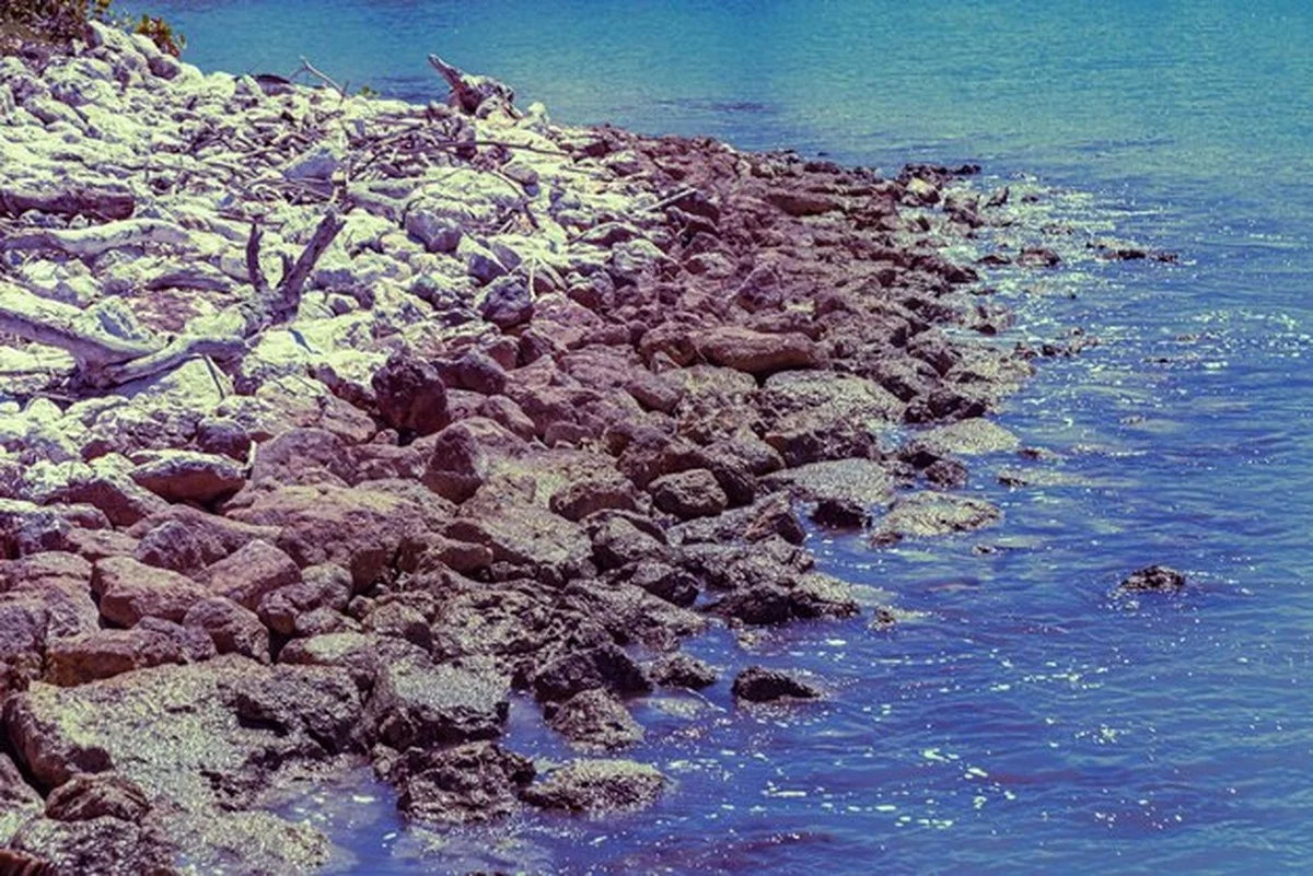 Nieuw bewijs uit Transsylvanië verandert begrip van laat-Krijt fauna - image 1