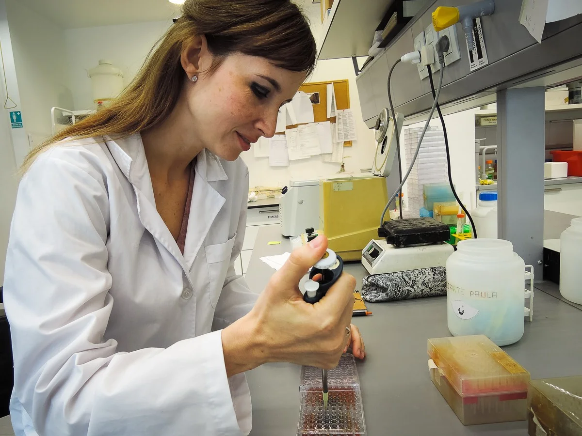 Hoe een biochemicus uit Gualeguaychú de microbiologiewereld verovert - image 2