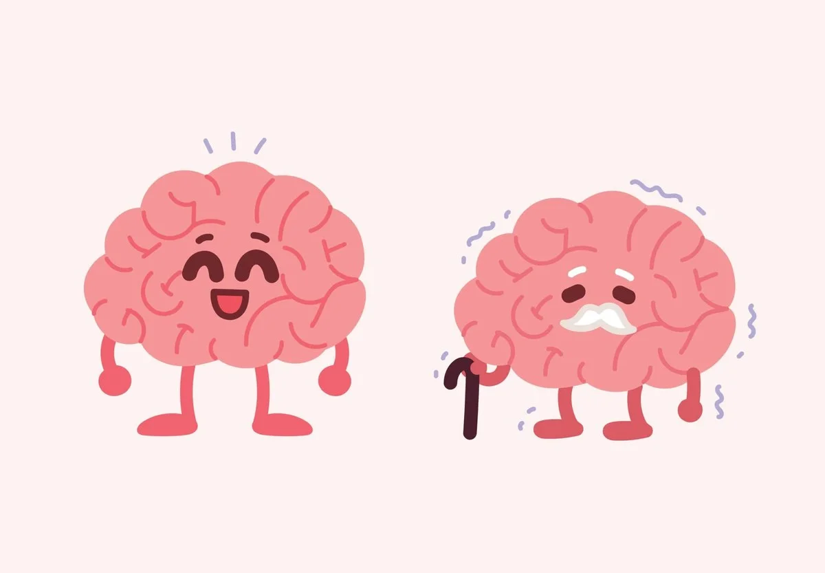 dezevijfsimpele-extra-1.webp Deze vijf simpele gewoontes maken je brein gemiddeld 8 jaar jonger - image 1