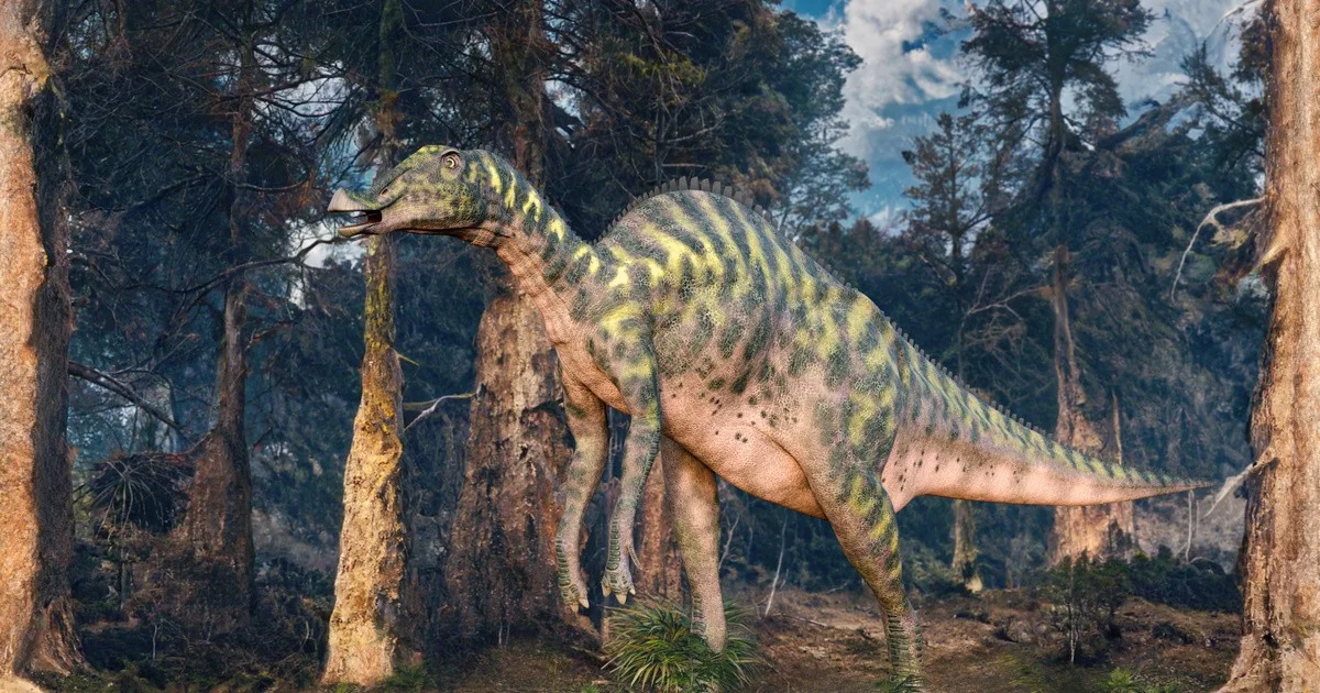 Waarom je bij je volgende boswandeling beter afwijkt van het pad, net als deze jongen