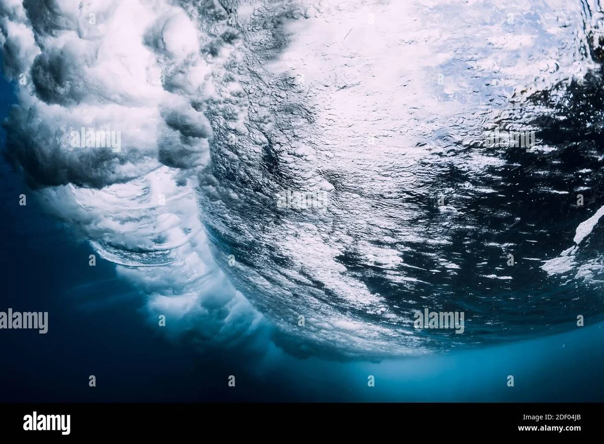 Waarom klimaatmodellen de co₂-opname van de zee structureel onderschatten - image 2