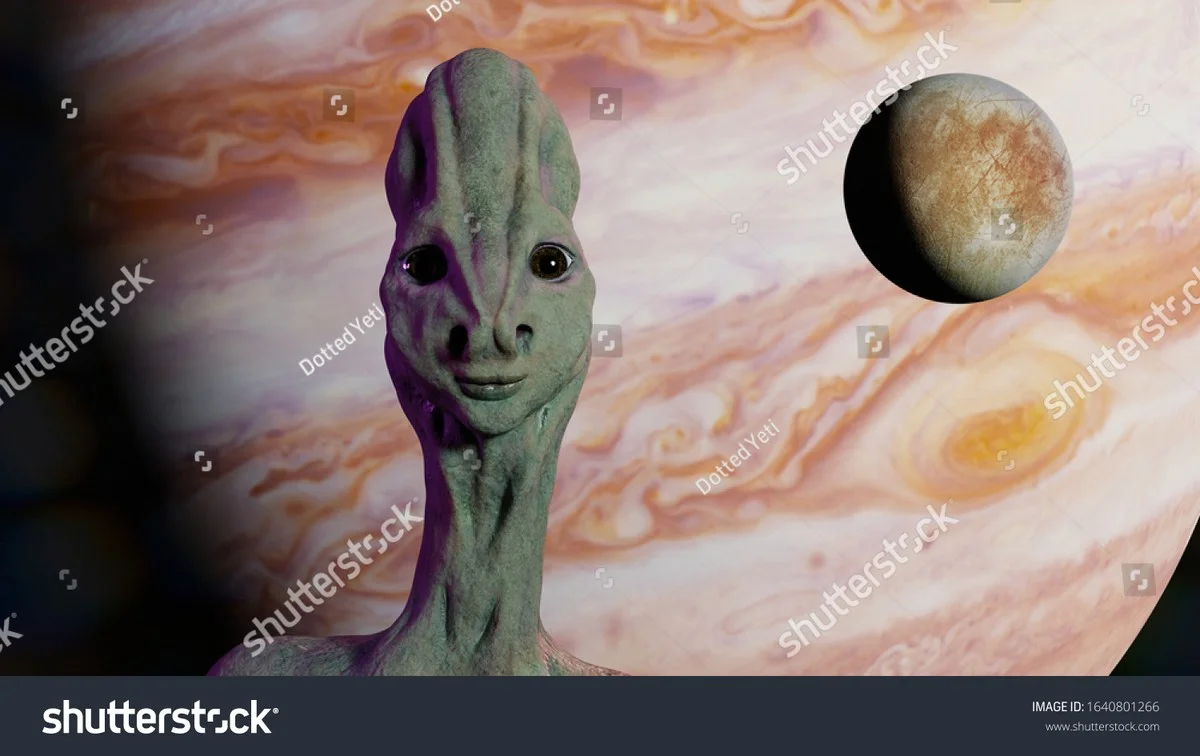 deverborgenspin-extra-1.webp De verborgen