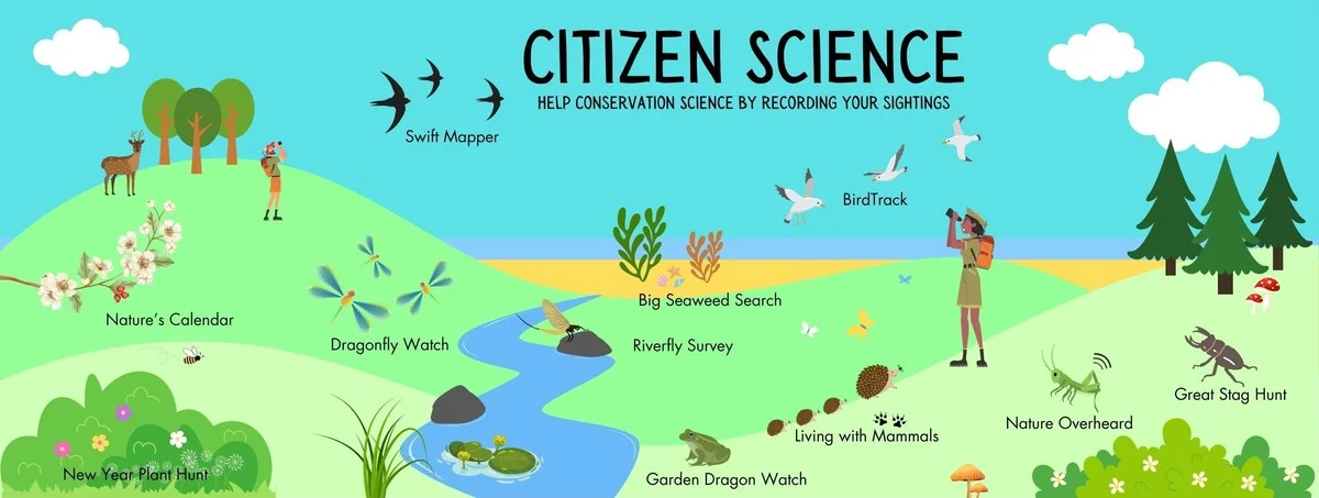 gemeenschaphelp-extra-2.webp Gemeenschap helpt bedreigde orchideeën spotten met nieuwe app - image 2