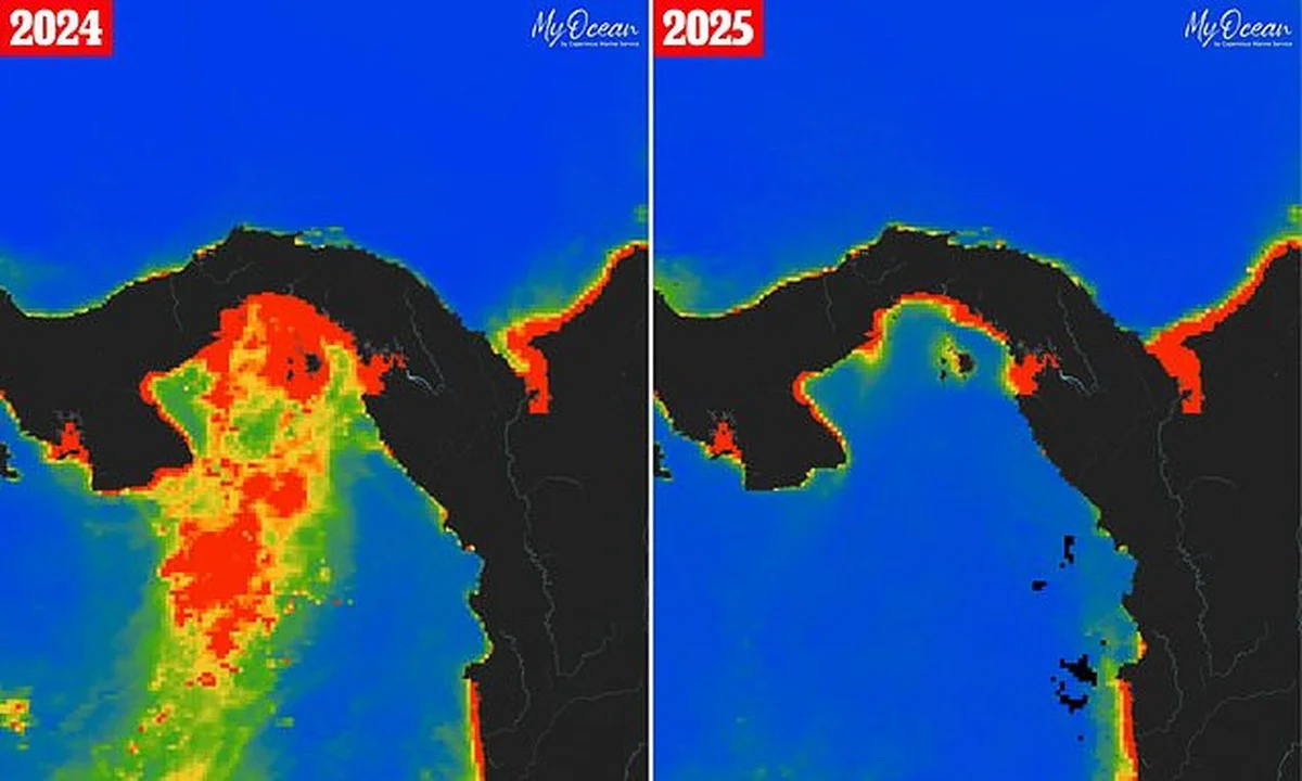 waaromexpertsve-extra-2.webp Waarom experts verrast zijn door de plotselinge