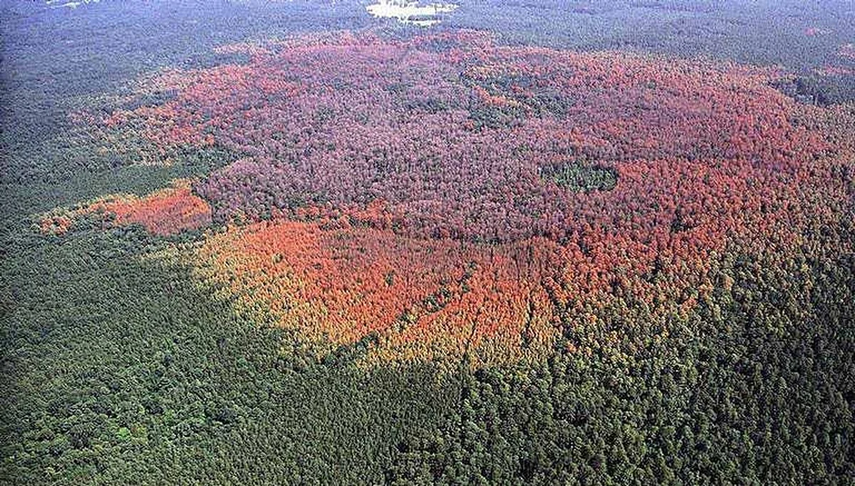 hetverborgenmen-extra-2.webp Het verborgen menu in android dat oude telefoons sneller maakt - image 2