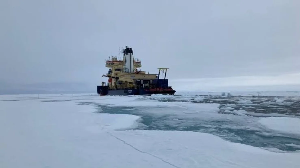 De onverwachte microben die de basis van de Arctische voedselketen voeden