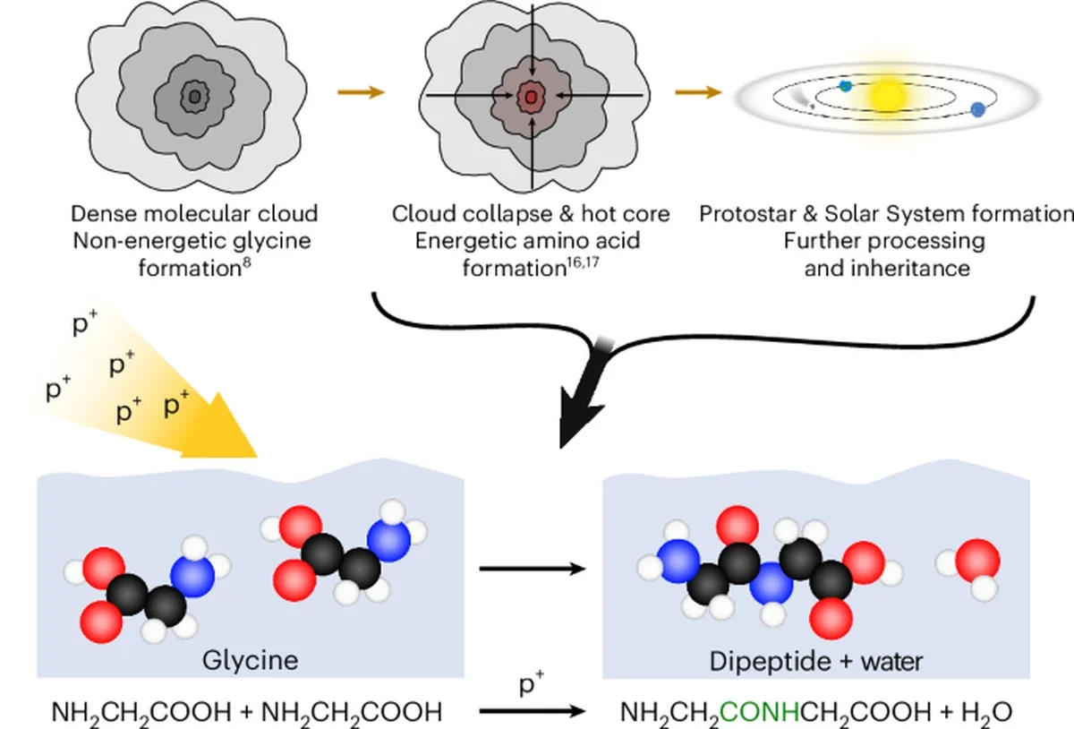 waaromchemische-extra-2.webp Waarom chemische bouwstenen van leven ontstaan bij -260 graden Celsius - image 2