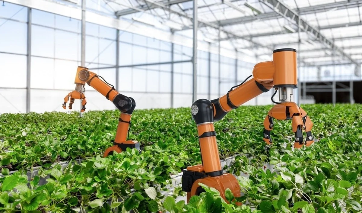 Waarom de Nederlandse boer deze nieuwe 