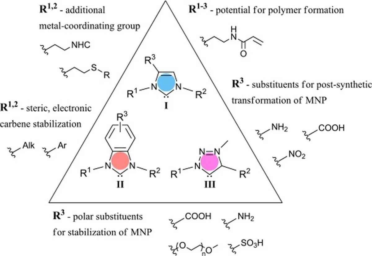 Waarom een ‘krankzinnige’ theorie over vitamine B1 uit 1958 nu eindelijk is bewezen door chemici - image 2