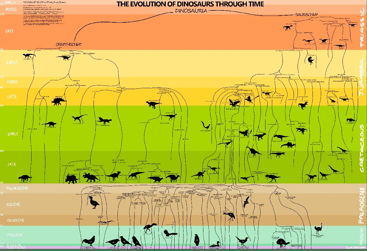 Waarom sporen van 200 miljoen jaar oud misschien toch van vogels zijn - image 2