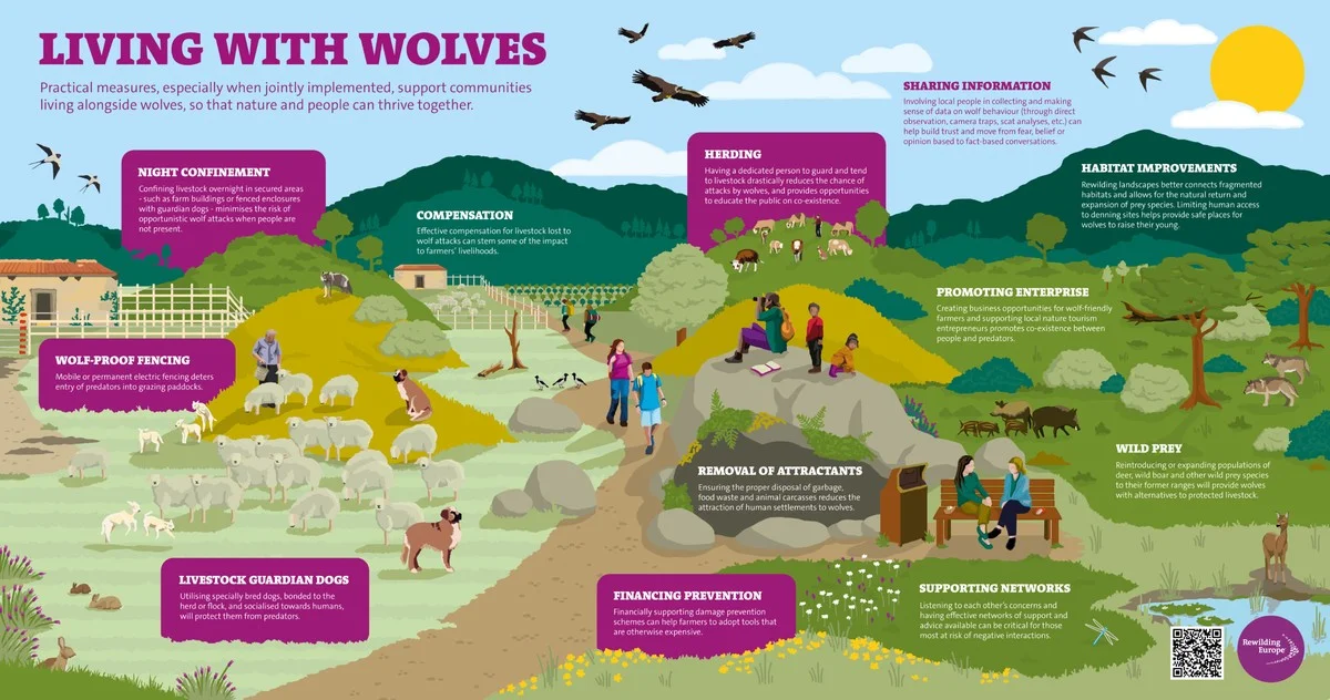 De verbazingwekkende comeback: deze verwaarloosde grond leverde dubbel zoveel soorten op - image 2