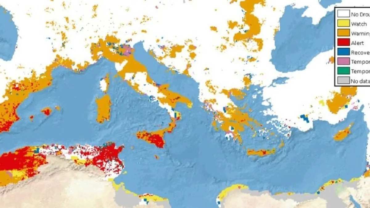 de27naar48dever-extra-2.webp De 27% naar 48%: de verrassende reden waarom de putten van Ibiza nu halfvol zijn - image 2