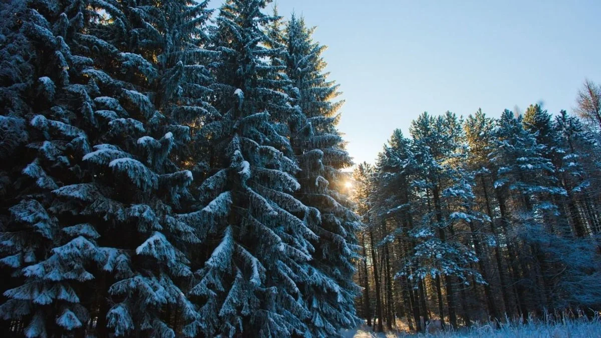 De geheime reden waarom je de noorderlichten kon zien boven een dorp dat uren vliegen kuste