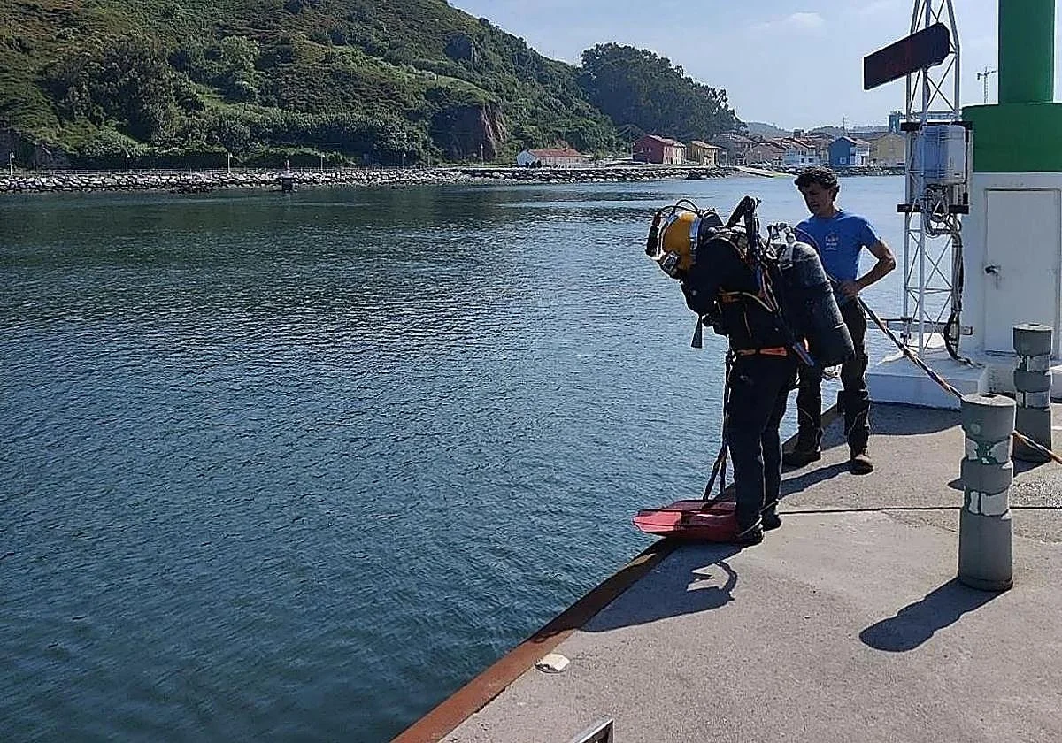 Verrassend: 42 nieuwe diersoorten duiken op na plaatsing van zes onopvallende onderwaterstructuren