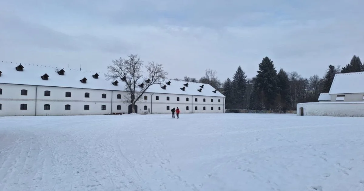 De onverwachte reden waarom die ene vogel plotseling wegbleef bij je voedersilo