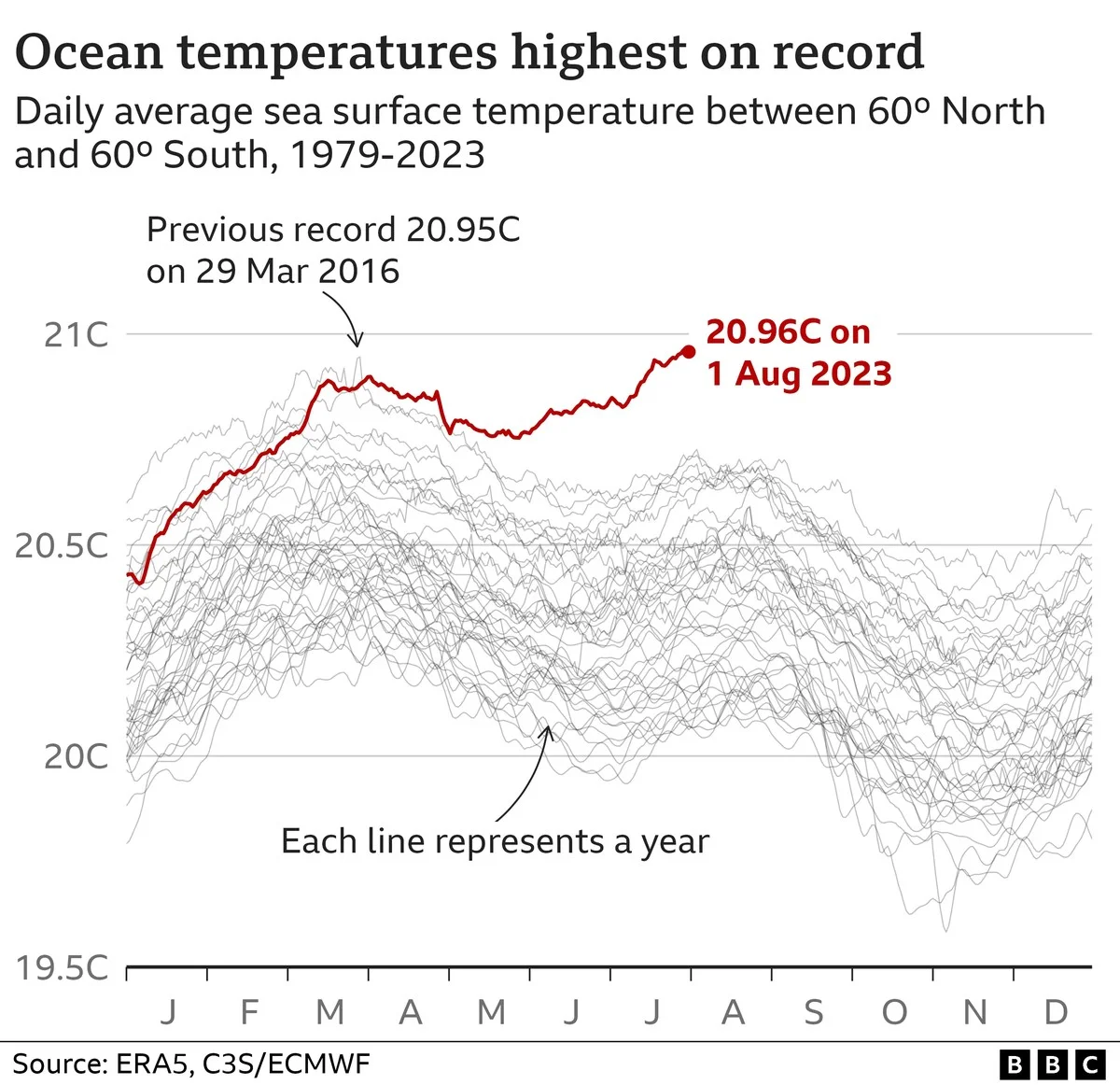 De 9e recordwarmtegolf van de oceaan: wat dit betekent voor uw zomervakantie aan de kust - image 1
