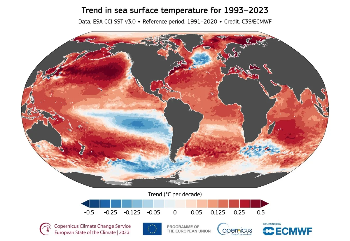 deoceaanabsorbe-extra-2.webp De oceaan absorbeerde in één jaar zoveel warmte dat het 37 jaar wereldwijd energieverbruik evenaart - image 2