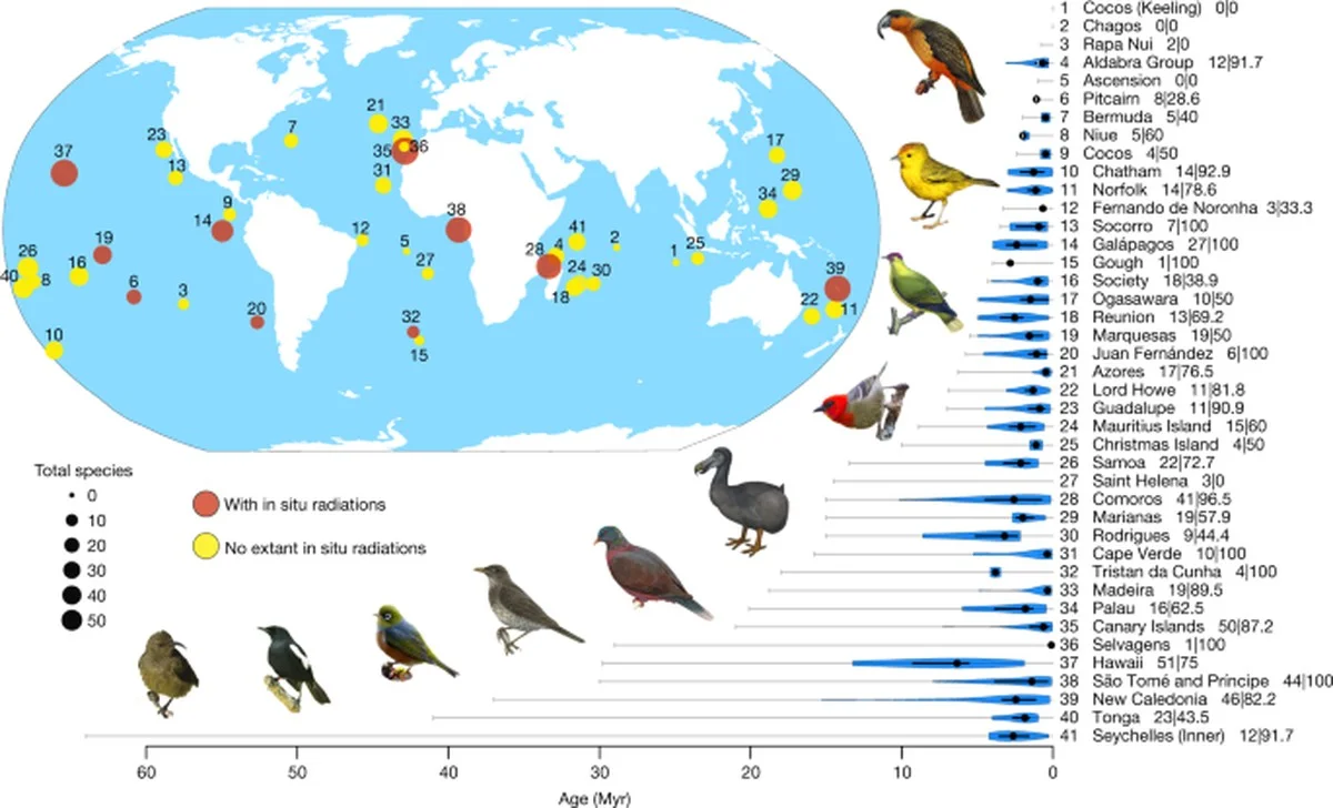 De reden waarom ornithologen 5 hectare land kochten voor die vogel die klinkt als een geit - image 1