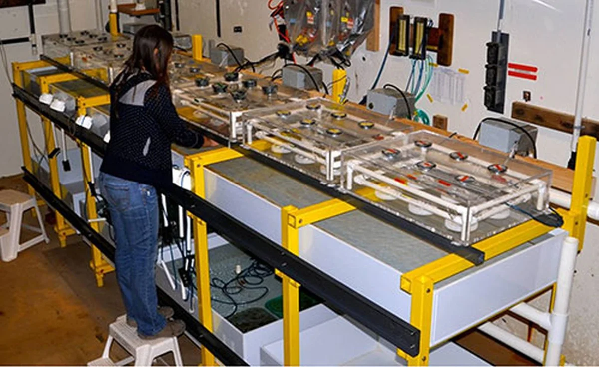 Waarom een Nobelprijs-instituut dat klimaatonderzoek leidt, dreigt te sluiten vanwege bezuinigingen - image 1