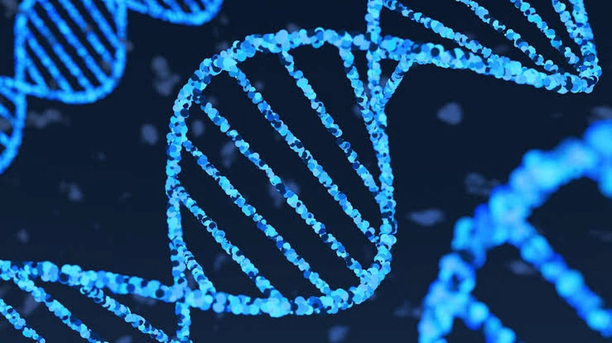 Hoe Google’s nieuwe AI het ‘donkere DNA’ ontcijfert