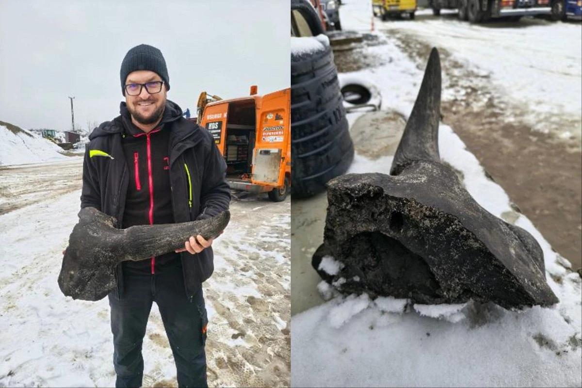 Deze Poolse boer vond een schedel van een prehistorische os op 3 meter diepte