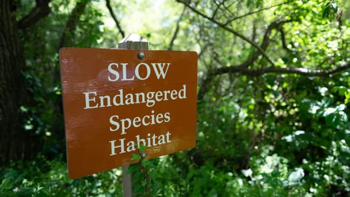 Turun bedreiging onder brug gevonden - image 1