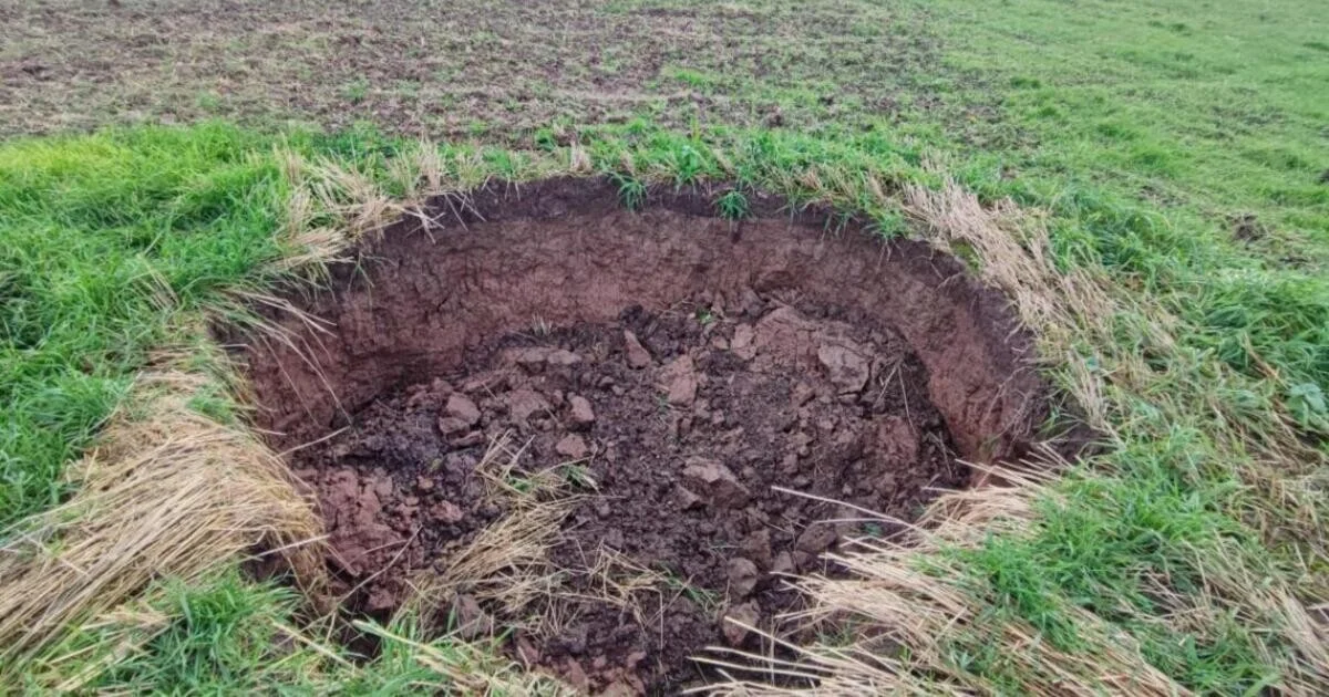 Waarom doorgewinterde experts zinkgaten nooit egaliseren of dichten