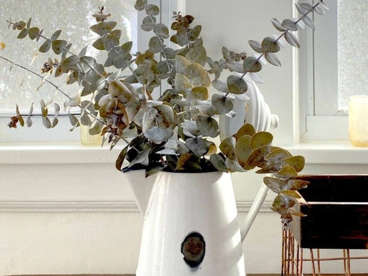 De trucjes van een bloemist: zo krijg je wél die sterke eucalyptusgeur in huis - image 2