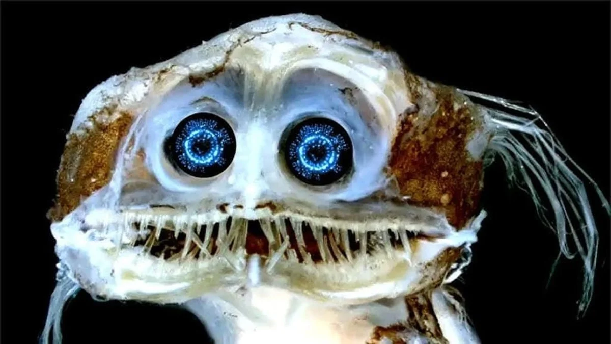 Waarom experts nu vermoeden dat de 