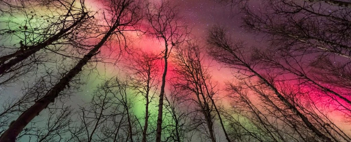 Waarom doorgewinterde noorderlichtjagers nu naar Lille kijken in plaats van Lapland - image 2